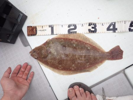 Aquanaut(アクアノート) 釣果