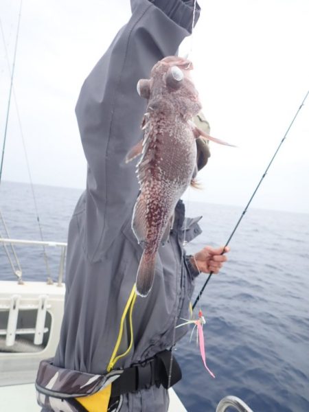 Aquanaut(アクアノート) 釣果