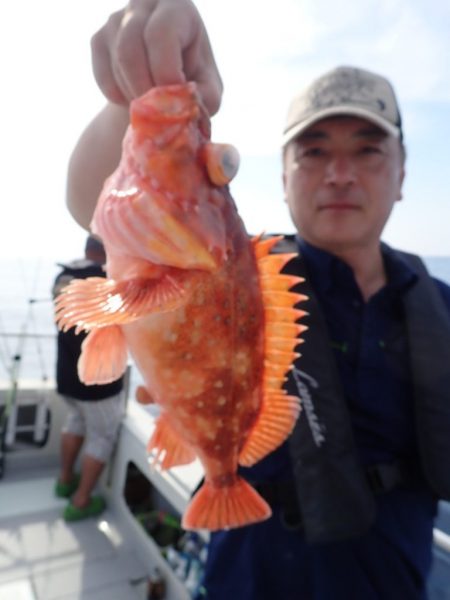 Aquanaut(アクアノート) 釣果