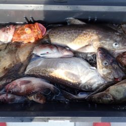 Aquanaut(アクアノート) 釣果