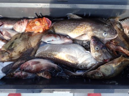 Aquanaut(アクアノート) 釣果