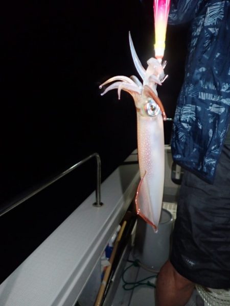 Aquanaut(アクアノート) 釣果