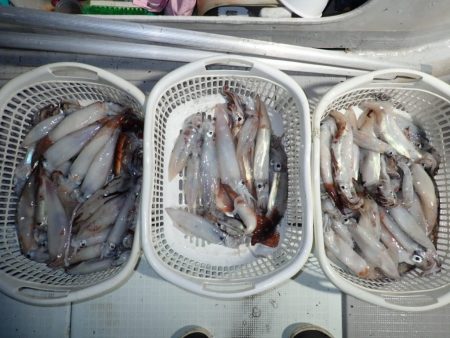 Aquanaut(アクアノート) 釣果