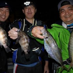 TOPGUN名古屋 釣果