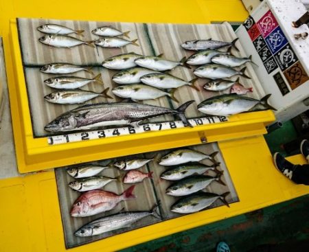 火遠理丸（ほおりまる） 釣果