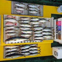 火遠理丸（ほおりまる） 釣果