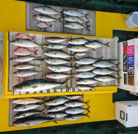 火遠理丸（ほおりまる） 釣果