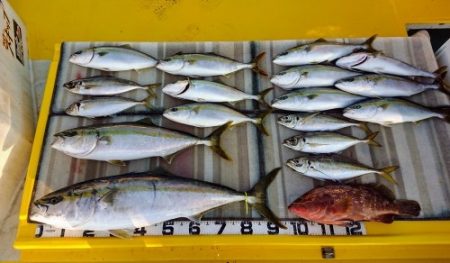 火遠理丸（ほおりまる） 釣果