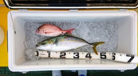 火遠理丸（ほおりまる） 釣果