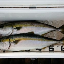 火遠理丸（ほおりまる） 釣果