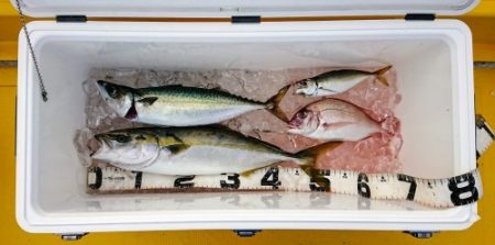 火遠理丸（ほおりまる） 釣果