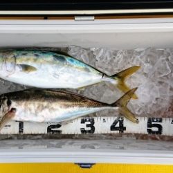 火遠理丸（ほおりまる） 釣果