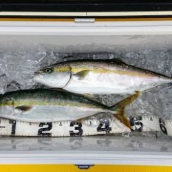 火遠理丸（ほおりまる） 釣果