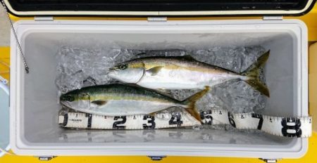 火遠理丸（ほおりまる） 釣果