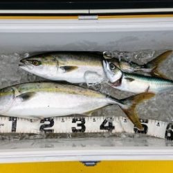 火遠理丸（ほおりまる） 釣果