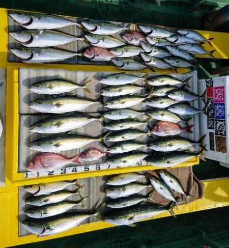 火遠理丸（ほおりまる） 釣果