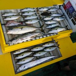 火遠理丸(ほおりまる) 釣果