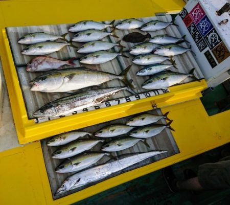 火遠理丸(ほおりまる) 釣果