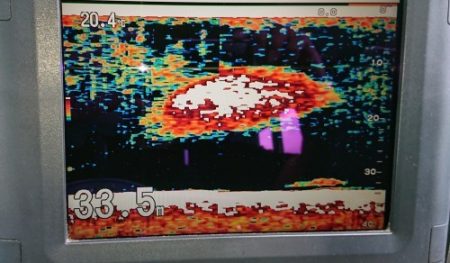 火遠理丸（ほおりまる） 釣果