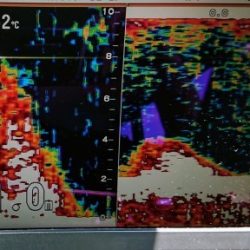火遠理丸（ほおりまる） 釣果