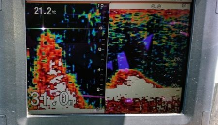 火遠理丸（ほおりまる） 釣果