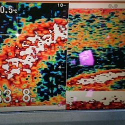 火遠理丸（ほおりまる） 釣果