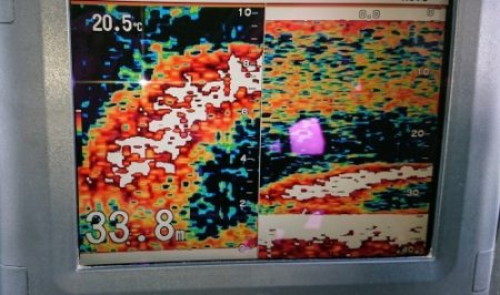 火遠理丸（ほおりまる） 釣果