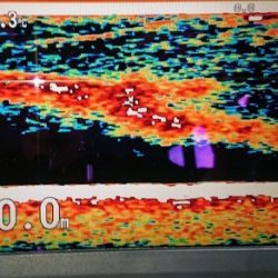 火遠理丸（ほおりまる） 釣果