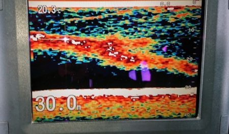 火遠理丸（ほおりまる） 釣果