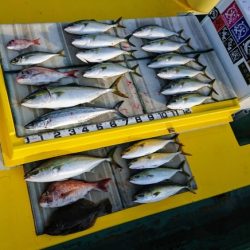 火遠理丸（ほおりまる） 釣果