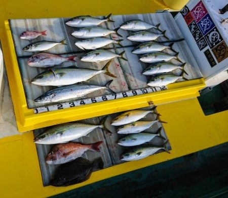 火遠理丸（ほおりまる） 釣果