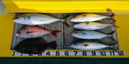 火遠理丸（ほおりまる） 釣果