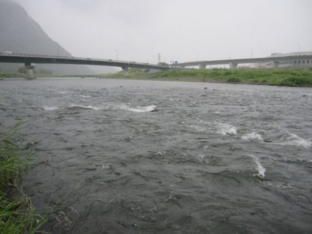 狩野川(狩野川漁業協同組合) 釣果