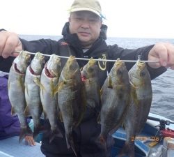 石川丸 釣果