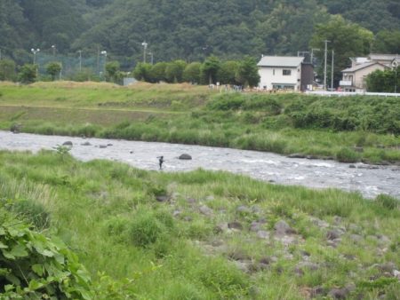 狩野川（狩野川漁業協同組合） 釣果