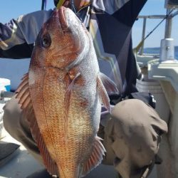 海峰 釣果