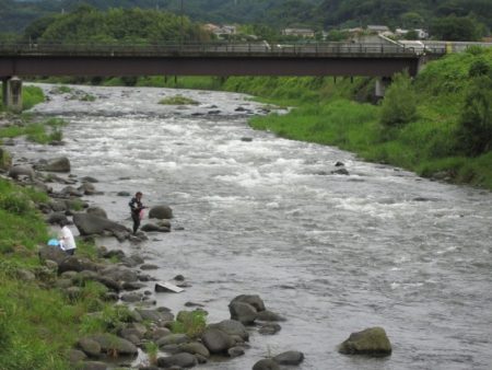 狩野川(狩野川漁業協同組合) 釣果