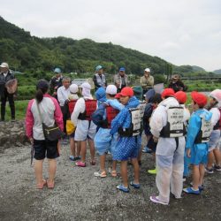 狩野川(狩野川漁業協同組合) 釣果