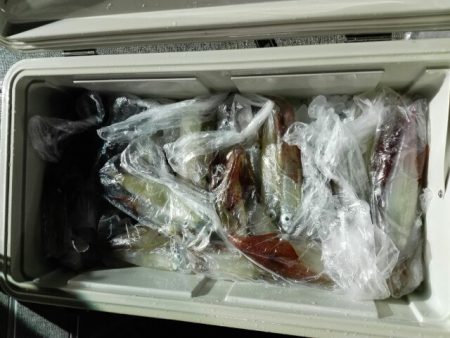 第二大福丸 釣果