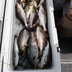 第二大福丸 釣果