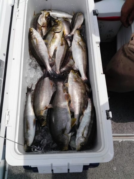 第二大福丸 釣果