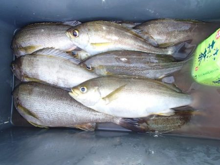 第二むつ漁丸 釣果