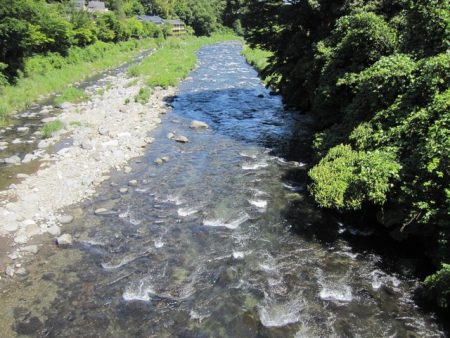 狩野川(狩野川漁業協同組合) 釣果