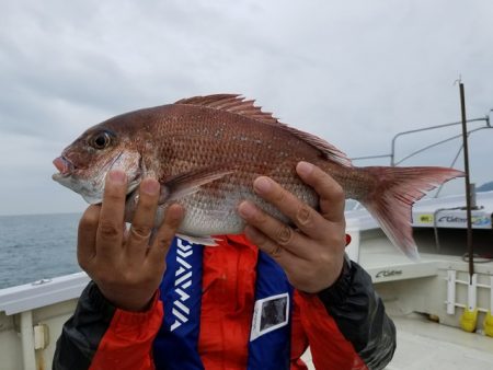 遊漁船　ニライカナイ 釣果