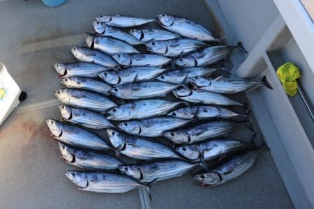 へいみつ丸 釣果