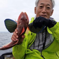 めだか屋 釣果