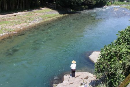 狩野川(狩野川漁業協同組合) 釣果