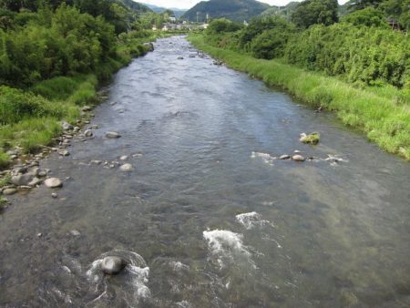 狩野川(狩野川漁業協同組合) 釣果