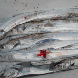 こうゆう丸 釣果