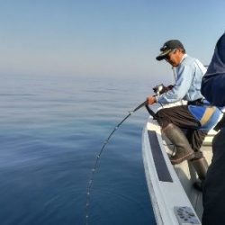 IDATEN（イダテン） 釣果